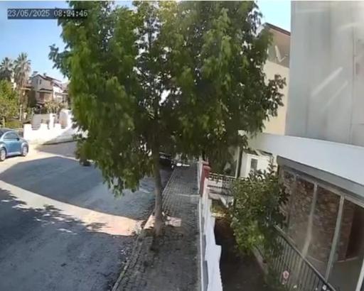 Sokakta yatan köpeği ezip yoluna devam etti; o anlar kamerada