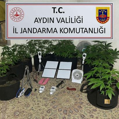 Metruk binada Hint keneviri yetiştiren üniversiteliye gözaltı