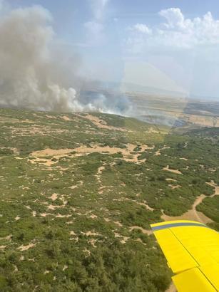 İzmir’de makilik yangını / Ek fotoğraf