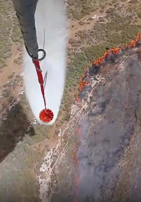 İzmir’de makilik yangını