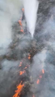 İzmir'de makilik yangını (2)