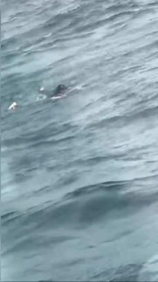 İstanbul - İstanbul Boğazı'nda vapurdan düşen 10 yaşındaki kız kurtarıldı; o anlar kamerada