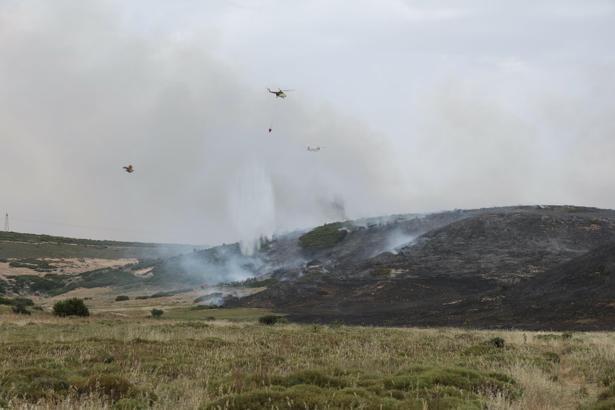 İzmir'de makilik yangını (3)