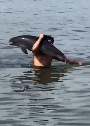 Yüzerken karşılaştığı ölü yunusu omzuna alıp, kıyıya bıraktı; o anlar kamerada