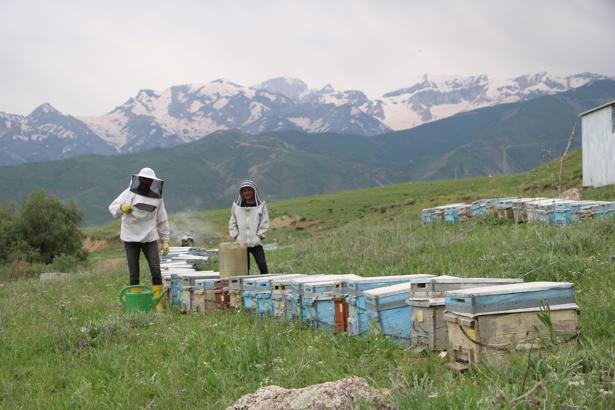 Adanalı çiftin 27 yıldır Yüksekova’ya ‘arı’ yolculuğu
