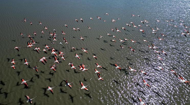 Misafirleri gecikmeli gelen Ulaş Gölü şenlendi