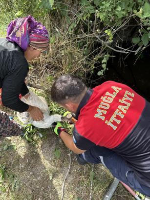 Su kuyusuna düşen ördek ve yavrularını itfaiye kurtardı