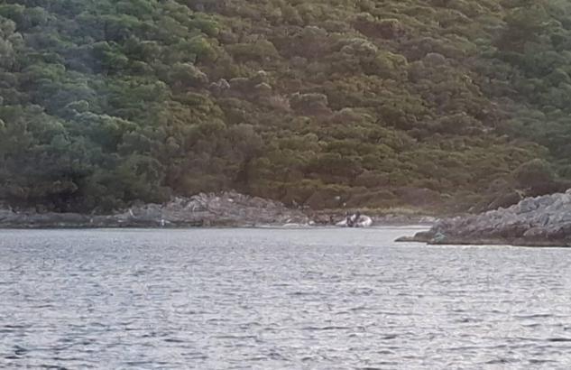 Milli Park’ta yasaklı bölgeye zodyak botla giren 3 kişiye 8 bin 859 lira ceza