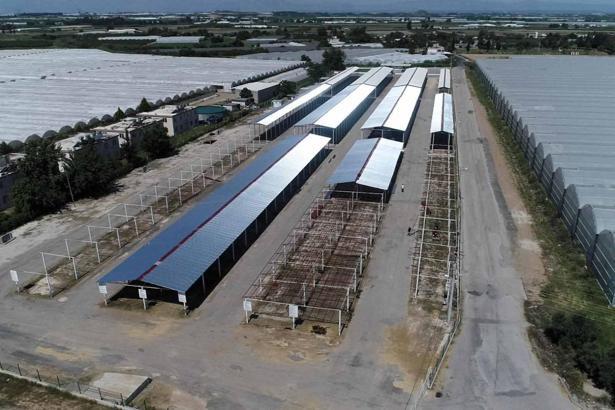 Başkan Kumbul: Kurban satış alanlarında konforlu bir ortam oluşturuyoruz