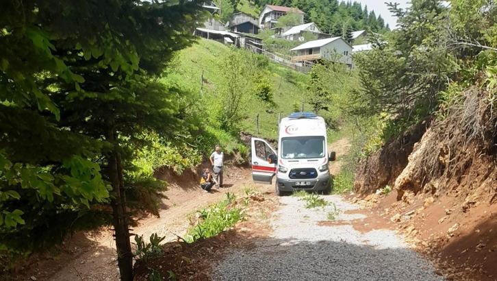 Kamyonet şarampole yuvarlandı; sürücü öldü, eşi ağır yaralandı