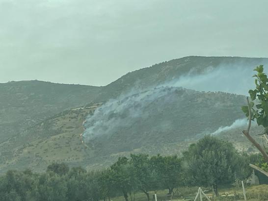 İzmir'de tarım arazisinde çıkan yangın, 2,5 saatte kontrol altına alındı