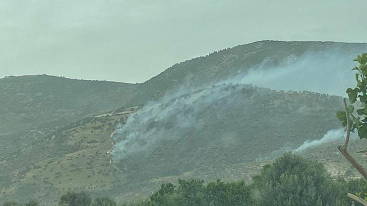 İzmir'de tarım arazisinde çıkan yangın, 2,5 saatte kontrol altına alındı