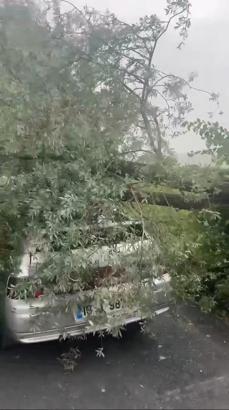 Bursa'da lodos yaşamı olumsuz etkiledi; pazar tezgahları devrildi (2)