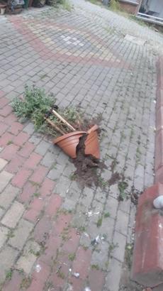 Pamukova'da fırtına etkili oldu