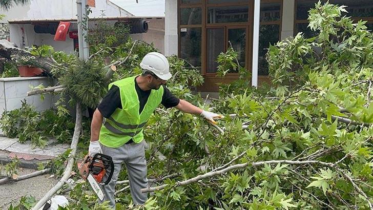 Turgutlu'da şiddetli rüzgar; ağaçlar devrildi