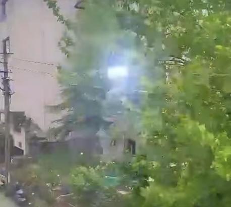 Bartın'da şiddetli rüzgar; ağaçlar devrildi