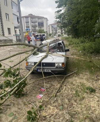 Bartın'da şiddetli rüzgar; ağaçlar devrildi/ Ek fotoğraflar