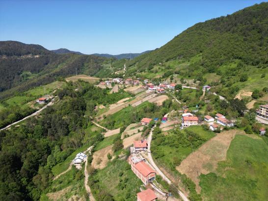 Küre Dağları Milli Parkı'nda bahar güzelliği