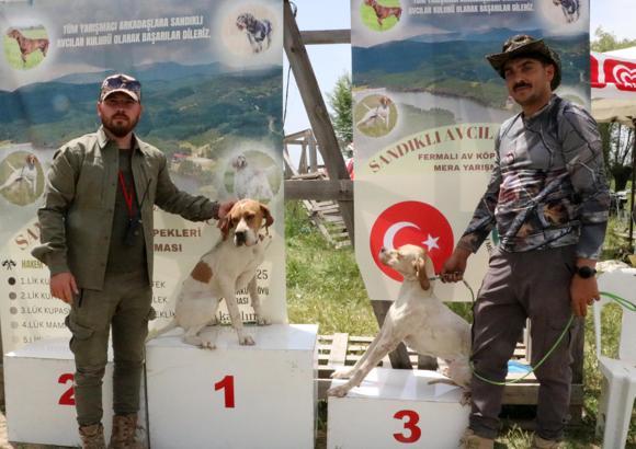 Sandıklı'da av köpekleri yarıştı