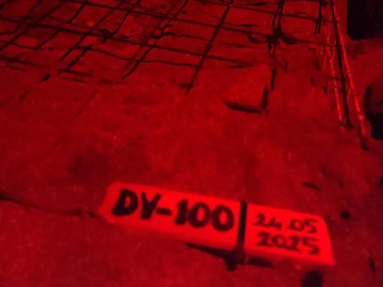 İztuzu Plajı'nda caretta yuva sayısı 100'e ulaştı