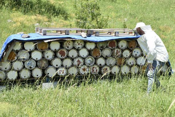 Bitlis balı Paris’te 'Altın Bal' ödülü aldı