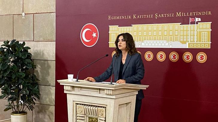 DEM Parti'li Koçyiğit: 10'uncu Yargı Paketi mutlaka bayramdan önce Meclis'ten geçmeli