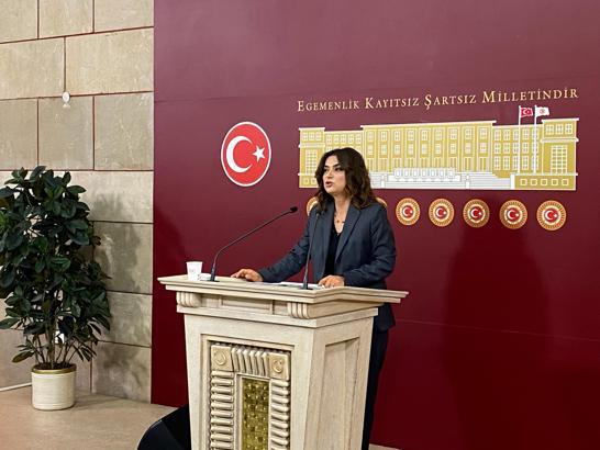 DEM Parti'li Koçyiğit: 10'uncu Yargı Paketi mutlaka bayramdan önce Meclis'ten geçmeli