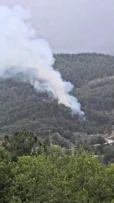 Antalya'da orman yangını