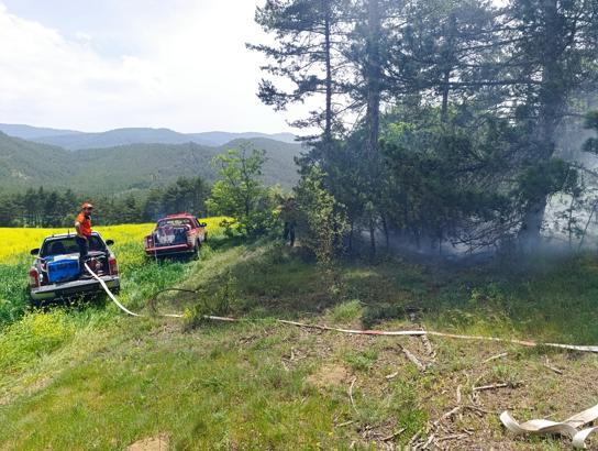 Yıldırım düşen ormanda çıkan yangın söndürüldü