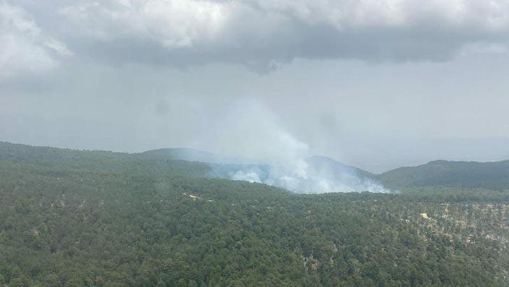 Nazilli'deki orman yangını 2 saatte söndürüldü