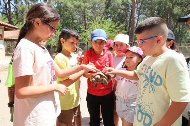 Büyükşehir’den çocuklara özel kaplumbağa etkinliği