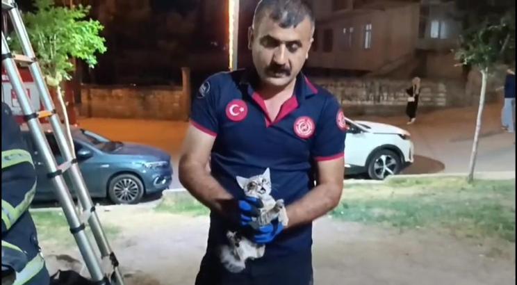Ağaçta mahsur kalan gözü yaralı yavru kediyi itfaiye kurtardı