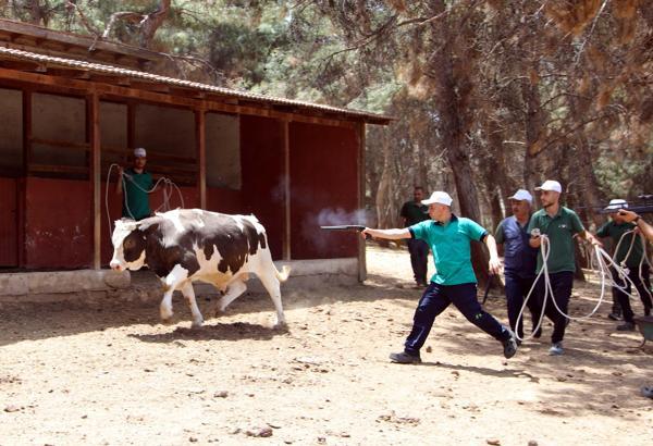 Gaziantep'te 'kurban yakalama timi' göreve hazır