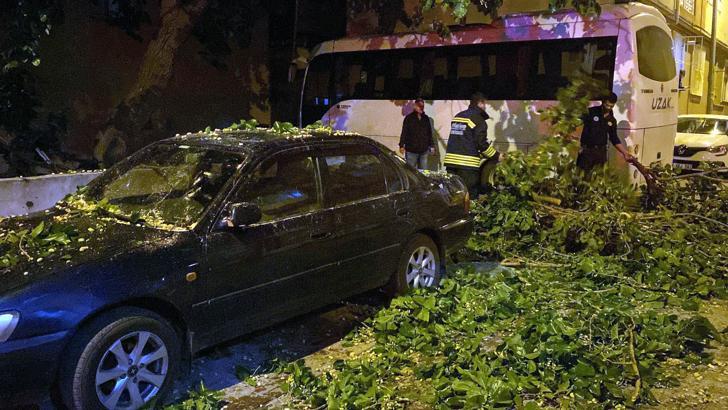 Çorlu'da ağaç park halindeki otomobilin üzerine devrildi