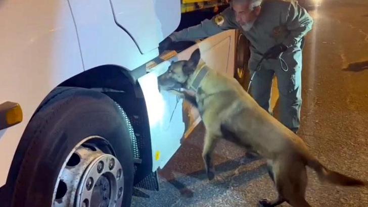 TIR'daki 5,5 kilo uyuşturucuyu 'Viva' buldu