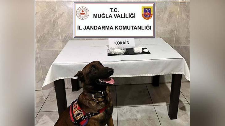 Yolcu otobüsüyle uyuşturucu sevkiyatı 'Etil'e takıldı