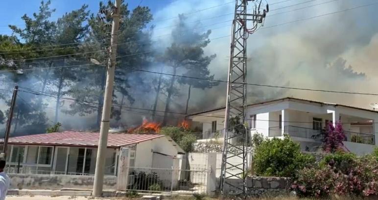 Muğla'da orman yangını