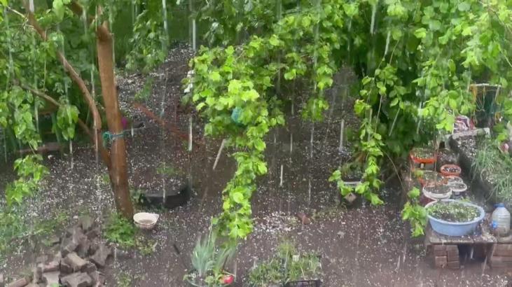 Artvin'de dolu; tarım arazileri zarar gördü