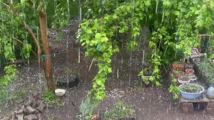 Artvin'de dolu; tarım arazileri zarar gördü