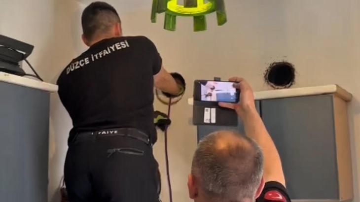 İtfaiye ekipleri, karga yavrusu ve kedi yavrusunu kurtardı