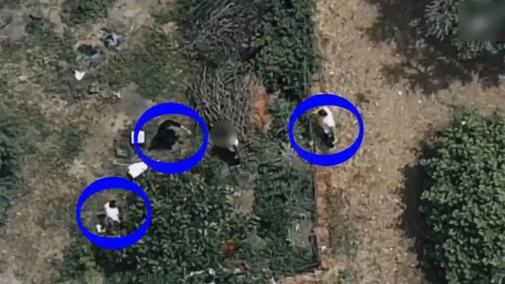 İznik'te 7,5 yıl hapisle aranan hükümlü dronla takip edilip yakalandı