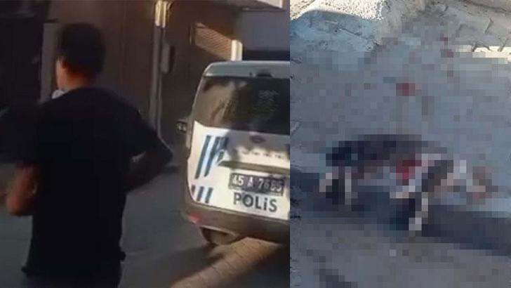 Sokak kedisini pompalı tüfekle vurarak öldüren şüpheliye gözaltı