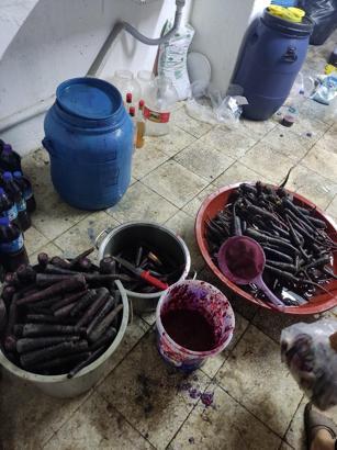 Hijyen kurallarının hiçe sayıldığı şalgam imalathanesi mühürlendi