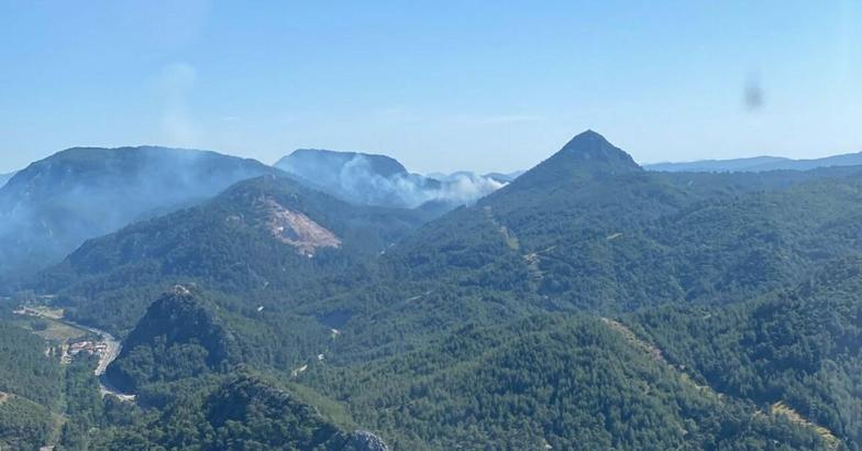 Marmaris’te orman yangını