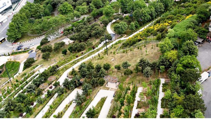 Türkiye Çevre Haftası, 81 ilde 'Çevrene İyi Bak' sloganıyla kutlanacak