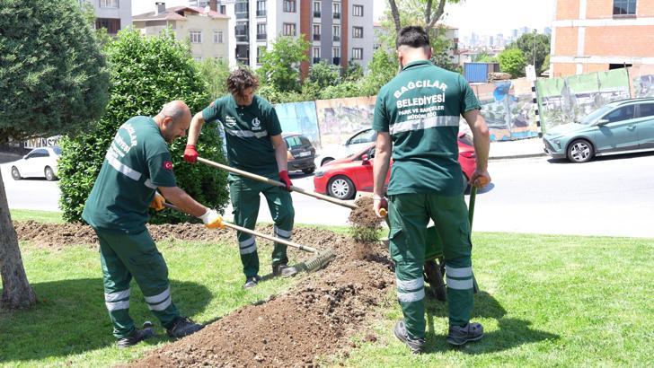 Bağcılar'da ayda 1 ton kahve posası gübre olarak değerlendiriliyor