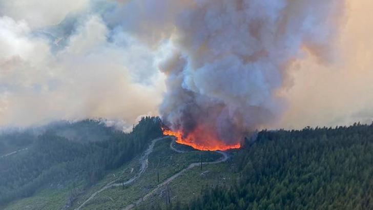 Kanada'da orman yangınları nedeniyle tahliye kararı verildi