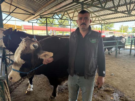 Isparta'daki kurban pazarlarında hareketlilik arttı