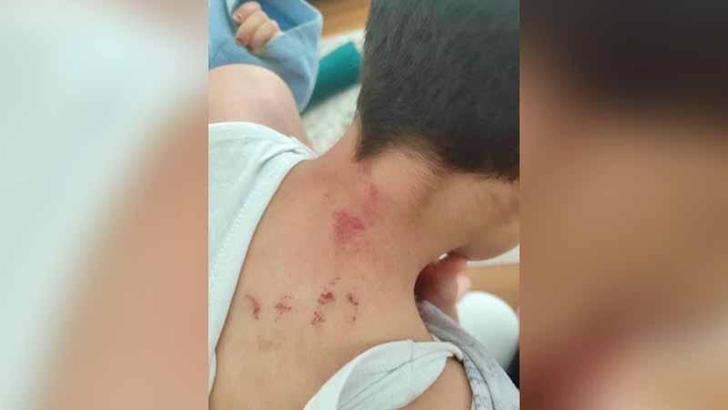 Şanlıurfa'da öğrencisini döven öğretmen tutuklandı