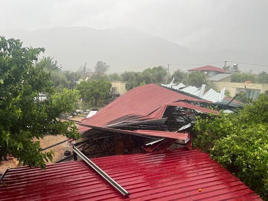 Kozan’da rüzgar çatı uçurdu, ağaçlar kökünden devrildi